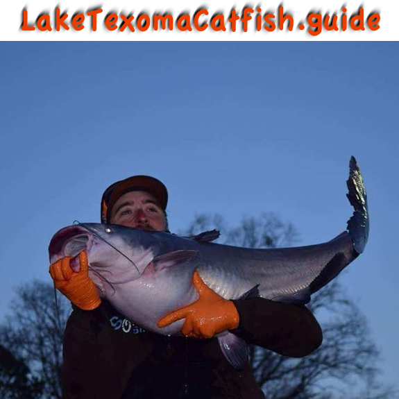 catching blue catfish, Lake Texoma Catfish
