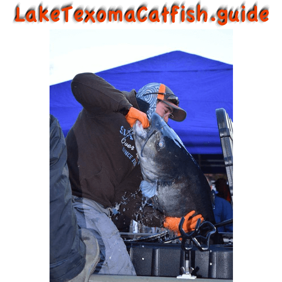 catching blue catfish, Lake Texoma Catfish Guides