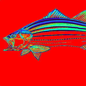 Lake Texoma Catfish Guide