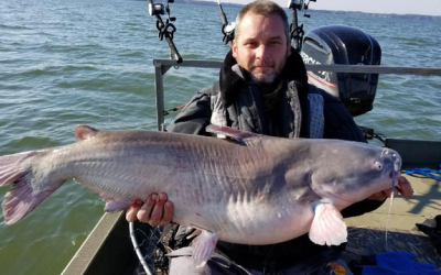 Catching Blue Catfish